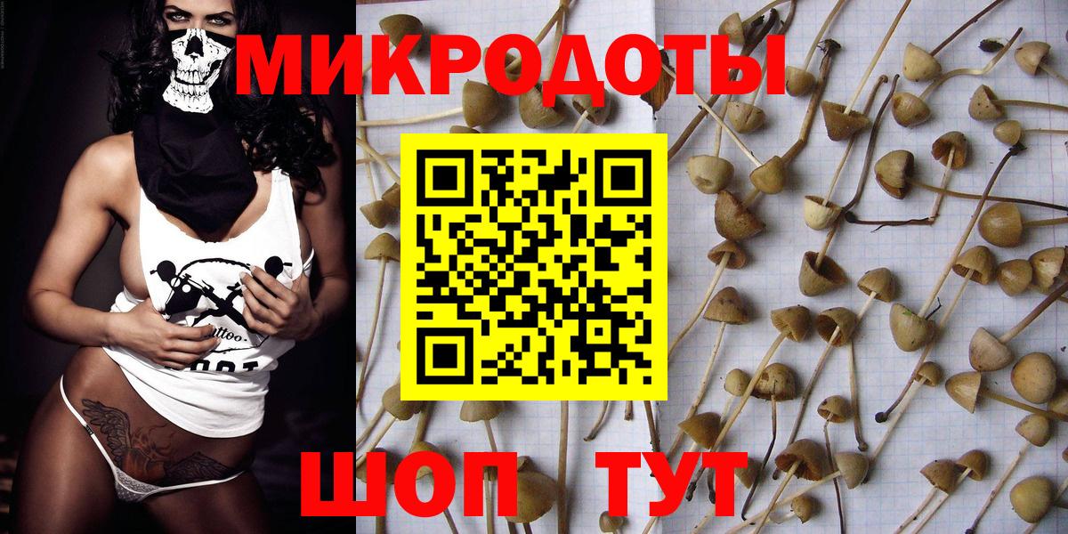 Псилоцибиновые грибы прущие грибы  Вход с VPN  где можно купить   Семёнов 