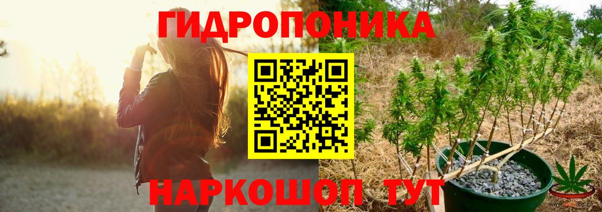 Канабис Bruce Banner Семёнов